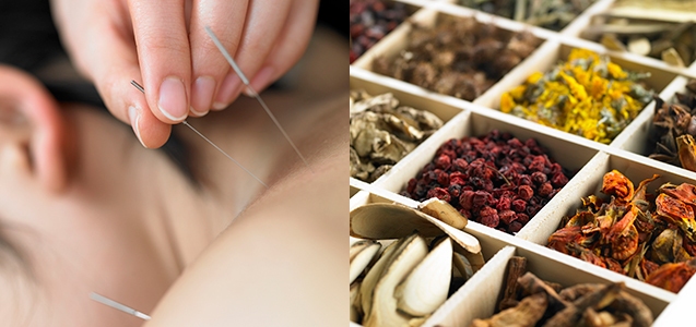 Cơ hội việc làm với bằng y sĩ y học cổ truyền là gì?