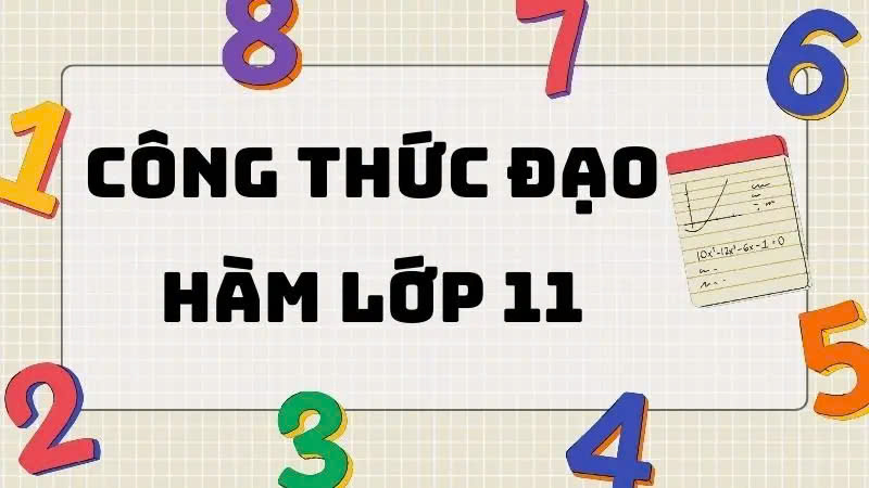 Đạo hàm là gì? Các công thức đạo hàm lớp 11​ cơ bản.